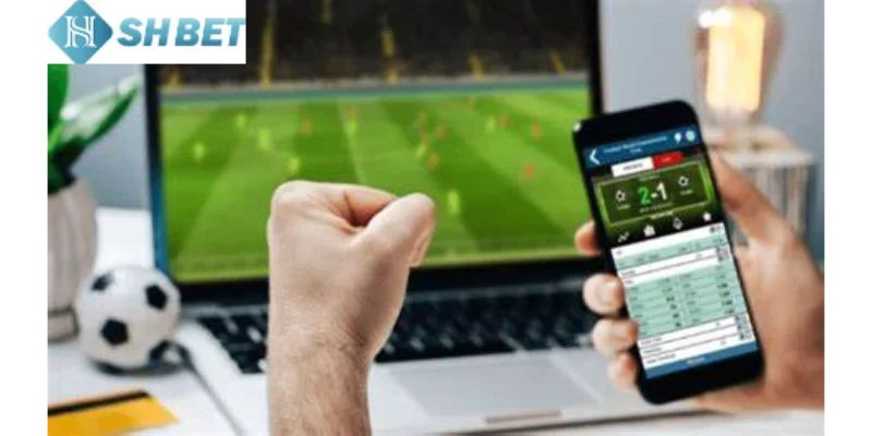 Hiện nay có nhiều loại cược phổ biến tại fifa World Cup